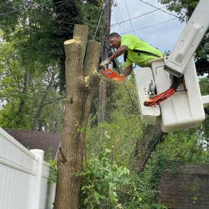 Our Drop and Leave service allows homeowners to have their trees trimmed or removed without having to be present, providing convenience and peace of mind. for Pro Tree Trim & Removal, Llc in Dayton, OH