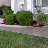 Our shrub trimming service is the perfect way to keep your landscaping looking its best. We'll trim and shape your shrubs to make them look fuller and neater, helping to improve the overall appearance of your property. for Regalado Landscape in Antioch, CA