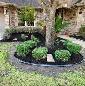 Our Shrub Trimming service is perfect for homeowners who want to keep their shrubs looking neat and tidy. We will trim your shrubs according to your specifications, and we will also remove any debris that accumulates around them. for Del Real Landscape Contractors LLC in Del Rio, TX