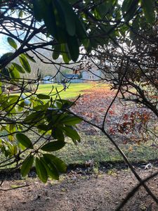 Our Fall Clean Up service ensures a tidy and beautiful yard, removing leaves, debris, and preparing your landscape for winter, enhancing curb appeal while promoting a healthier lawn for the coming spring. for Lawn Shark Landscaping in Monument Beach, MA