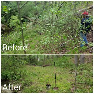 We can help with tree and brush removal, R.O.W reclamation and mowing to ensure proper Right of Way needs are met. for Fayette Property Solutions in Fayetteville, GA