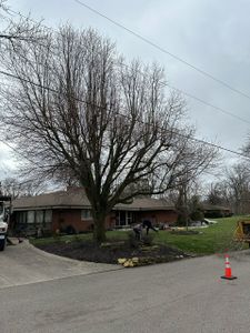 Our Crane Services offer safe and efficient tree removal in difficult-to-reach areas. We enhance safety and precision by using advanced equipment to handle large or damaged trees with minimal disruption to your property. for Pro Tree Trim & Removal, Llc in Dayton, OH