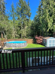 Our Tree Trimming service is designed to enhance the health and appearance of your trees, ensuring their safety and longevity. for Puget Sound Tree LLC in Bremerton, WA