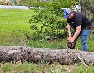 Our professional Tree Trimming service ensures the health and beauty of your trees, enhancing your property's aesthetics while minimizing potential hazards or damage caused by overgrown branches. for The Fix It Team LLC  in Granville, NY