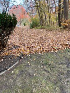 Our Fall and Spring Clean Up service is a great way to get your yard ready for the upcoming seasons. We will clean up all of the debris from your yard and make sure it is ready for winter or summer. for Solid Oak Lawn Care in East Grand Rapids, MI