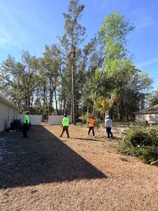 Transform your property’s appearance with professional tree pruning and trimming from All Around Guys Tree Service LLC. Our veteran-owned team improves tree health, enhances curb appeal, reduces storm hazards, and promotes long-term growth using industry-proven techniques. From routine maintenance to hazardous limb removal, we keep your trees healthy, beautiful, and your property safe. for All Around Guys Tree Service in Ocala, FL