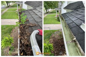 We provide professional gutter cleaning services to help keep your home safe and free from clogged gutters. Our experienced technicians can quickly clean and inspect your gutters for any problems. for Blue Line Pressure Washing in Carthage, IL