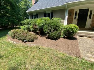 Enhance your home's curb appeal with our expert shrub trimming service. We shape and maintain your shrubs for optimal health and beauty, ensuring a polished and vibrant landscape year-round. for Beach Boy Grounds Maintenance LLC in Germantown, MD