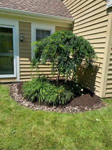 Our Shrub Trimming service is a great way to keep your shrubs looking their best. We will trim them to shape and remove any dead or overgrown branches. for Mullet Man Property Services in Cazenovia, New York