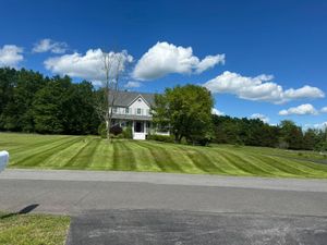 Our Lawn Aeration service is the perfect way to improve your lawn's health and appearance. We use specialized equipment to remove small plugs of soil from your lawn, which allows air, water, and nutrients to reach the roots of your grass plants. This helps keep your lawn healthy and looking great! for Cuellar Lawn Care in Stone Ridge , NY 