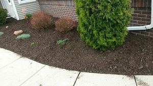 Our mulch delivery and installation service enhances your landscape's beauty, conserves moisture, and suppresses weeds efficiently. Transform your garden effortlessly with our expert team’s precise application of premium-grade mulch. for Paradise Lawnscapes in West Bend, WI