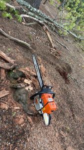 Our stump removal service expertly eliminates unsightly stumps, enhancing your landscape's beauty and safety. Our team uses advanced equipment to efficiently remove stumps, ensuring a clean slate for your outdoor space. for Dwights Tree Service LLC in Middleborough, MA