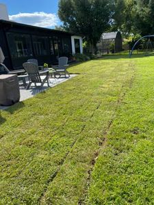 Transform your lawn with our expert sodding service, providing lush, green grass instantly. Our team ensures precise installation and quality care, delivering a vibrant and healthy landscape for your home. for King Kutz Landscaping in Apopka, FL