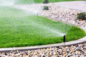 Our Two-Way Pumps service provides efficient and reliable water pumping solutions for any residential landscaping project. We guarantee quality results every time! for Advanced Irrigation Services LLC in Moyock, NC