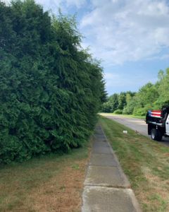 Our trimming and shearing service helps keep your landscaping looking neat and tidy by expertly cutting back shrubs, trees, hedges, and other foliage. for B&L Management LLC in East Windsor, CT