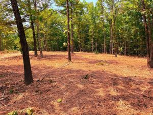 Our Forestry Mulching service efficiently clears land by shredding underbrush and trees into mulch. This environmentally friendly method enhances landscape health while providing a clear space for your projects or property improvements. for New Horizon Contracting in Bardstown, KY
