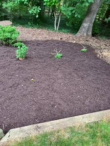 At our landscaping and hardscaping company, we install mulch to help improve the appearance of a homeowner's property and protect their plants from the elements. Mulch can also help suppress weed growth. for Freedom Landscape LLC in Chesterfield, VA