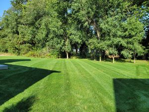 Our professional Lawn Care company offers reliable and efficient mowing services, ensuring your lawn remains beautifully manicured for a hassle-free homeowner experience. for Benny's Lawn Care in Elkhart, IN