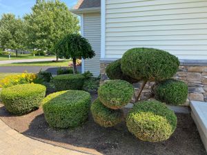 Our Shrub Trimming service allows homeowners to keep their shrubs looking neat and tidy all year round. We will trim your shrubs to the desired shape, removing any dead or diseased branches along the way. for Sosa Landscaping and Gardens, LLC in Clifton Park, New York