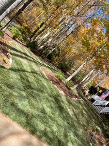 Our Sod Seeding service is a quick and efficient way to transform your lawn, providing instant greenery by planting high-quality sod for a lush and healthy landscape. for Hipp's Land Management in Tryon, NC