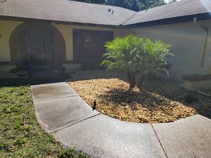 We provide professional and efficient shrub trimming services to maintain your landscape's beauty. Our experienced technicians will leave your yard looking beautiful! for Gratsch Landscaping and Tree Trimming llc in Spring Hill, Florida