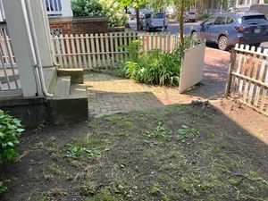 Enhance your home's curb appeal with our professional shrub trimming service, ensuring beautiful, well-maintained plants that encourage healthy growth and add elegance to your landscape all year round. for Green Horizon Lawncare in North Chesterfield, VA