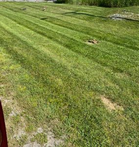 Our mowing service provides homeowners with professional and reliable lawn care, ensuring a well-maintained yard that enhances the beauty of their property. for Kingdom Lawn Care  in Tullahoma, TN