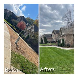 This is the planting of grass seed directly into existing turf, without tearing up the turf, or the soil. It is a way to fill in bare spots, improve the density of the grass, and enhance your lawn's color. for Sunrise Lawn Care & Weed Control LLC in Simpsonville, SC
