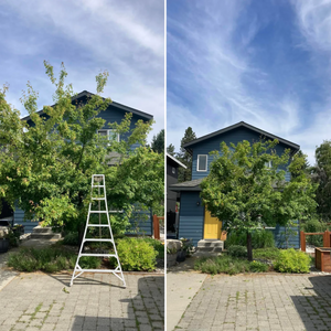 Our professional Tree Trimming service ensures that your trees are well-maintained, shaped, and free from hazardous branches, enhancing the overall beauty and safety of your property. for Summit Tree Care LLC in Fort Wayne, IN