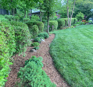 Our Tree Trimming service helps maintain healthy and aesthetically pleasing trees with proper pruning techniques, improving their overall safety for your lawn. Contact us for a free estimate. for Robbie's Lawn Care, LLC in Middletown, OH