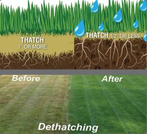 If you're looking to have a greener, healthier lawn all season long, then you need to book an overseeding service. Overseeding is the process of adding grass seed to your existing lawn in order to thicken it up and help reduce weeds. This comes with numerous benefits that can help improve your yard and make it look its best.  for B&L Management LLC in East Windsor, CT