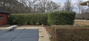 Enhance your home's curb appeal with our professional shrub trimming service, ensuring healthy growth and beautifully shaped plants. Our expert team crafts a polished look tailored to your landscape's unique needs. for Fresh Cut Yard & Lawn Care LLC in Forsyth, GA