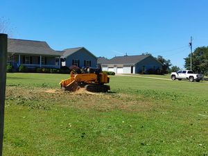 Our professional stump removal service efficiently eliminates unsightly stumps, enhancing your landscape’s beauty and safety. Trust our experts to carefully restore your yard with minimal disruption and complete satisfaction guaranteed. for Big Rock Tree Removal LLC in Boaz, AL