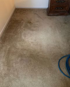 Our professional Carpet Cleaning service uses advanced techniques and eco-friendly products to refresh your carpets, remove deep-seated dirt, restore their original appearance, and create a healthier living environment. for Randy’s Janitorial in Vallejo-Fairfield, CA