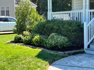 Our Shrub Trimming service ensures your home's shrubbery remains neat and well-maintained, enhancing the overall appearance of your landscape while promoting healthy growth. for Three Brothers Lawn & Landscaping LLC in Yorktown, VA