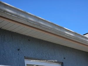 Revitalize the exterior of your home with our fine finish spray paint service for soffits and gutters. Achieve a fresh, long-lasting look that enhances curb appeal and protects against weather damage. for Perfection Custom Painting LLC in Port Charlotte, FL