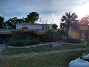 Enhance your home's curb appeal with our professional shrub trimming service, ensuring healthy growth and a well-manicured appearance that complements your landscape. Our experts deliver precision and care for outstanding results. for Lawn Dogz Lawns & Landscaping in Tampa, FL