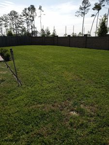 Our Mowing service offers professional and reliable lawn care to help keep your outdoor space looking its best. for The I AM Services in Houston, TX