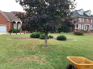 A big part of lawn maintenance is ensuring your lawn is regularly mowed. We know life gets busy, and we are here to help keep your lawn looking fresh. for Fenix Lawn Care in Cookeville, TN