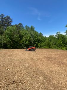 Our Lot Clearing service efficiently removes trees and brush, leaving your property clean and ready for development. Trust our expertise to enhance the beauty of your land. for Southern Land Solutions Forestry Mulching, LLC in Cleveland, NC