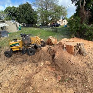 Our Stump Removal service efficiently eliminates unwanted stumps from your property, enhancing the aesthetics, safety, and functionality of your outdoor space. for Sam's Tree Service in Miami Beach,  FL