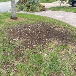 If you have a stump in your yard that needs to be removed, we can help! Our stump grinding service will quickly and efficiently remove unwanted stumps so you can enjoy your yard again. for Green Touch Property Maintenance in Broward County, FL