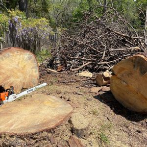 Our Tree Removal service provides homeowners with efficient and professional removal of trees, ensuring the safety of your property and enhancing its aesthetic appeal. for Pinedown LLC in Cherokee County, GA