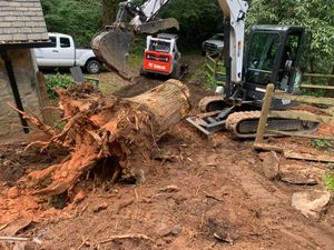 We provide professional and efficient stump removal services, ensuring your property is clear of any unwanted stumps in a timely manner. for Elias Grading and Hauling in Black Mountain, NC