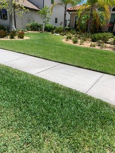 Our Shrub Trimming service ensures your shrubs are neatly shaped and maintained, enhancing the overall appearance of your property and creating a welcoming outdoor space. for Tolliver’s landscape LLC in Palm Bay, FL