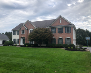 Shrub trimming can transform your property. Our experienced landscapers will rid your home or business of overgrowth and keep your shrubs looking immaculate. We handle seasonal services for fall and spring clean up. for Nicoletti Landscaping LLC in Pittsford, NY