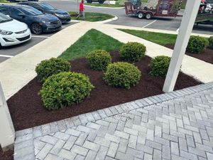 Our shrub trimming service is the perfect way to keep your bushes looking neat and tidy all year long. We'll trim them into the shape you desire, so we perfectly match your landscaping design. for The Right Price Right Choice Lawn Care Services in Murfreesboro, TN