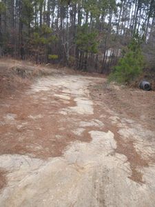 Our Land Clearing service efficiently removes trees, debris, and underbrush to create a clean slate for your remodeling project. We ensure safety and precision to prepare your property for new developments. for Johnson Gutter Cleaning and Construction  in Southern Pines, NC