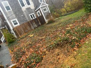 Our Fall Clean Up service efficiently removes leaves, branches, and debris to enhance your yard’s appearance and health, preparing it for winter while ensuring a beautiful landscape year-round. for Dwights Tree Service LLC in Middleborough, MA