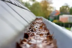 Our professional gutter cleaning service helps prevent water damage to your home by ensuring that gutters are free of debris and functioning properly, keeping your property safe and well-maintained. for Greenlee & Family Landscaping Services in Peoria, IL